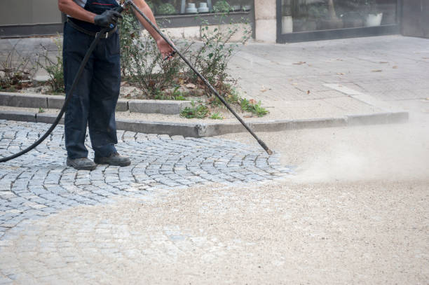 Best Pre-Holiday Cleaning  in Dumont, NJ