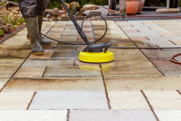 Best Animal Enclosure Cleaning  in Dumont, NJ