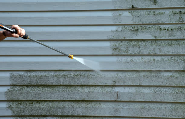 Best Gutter Cleaning  in Dumont, NJ